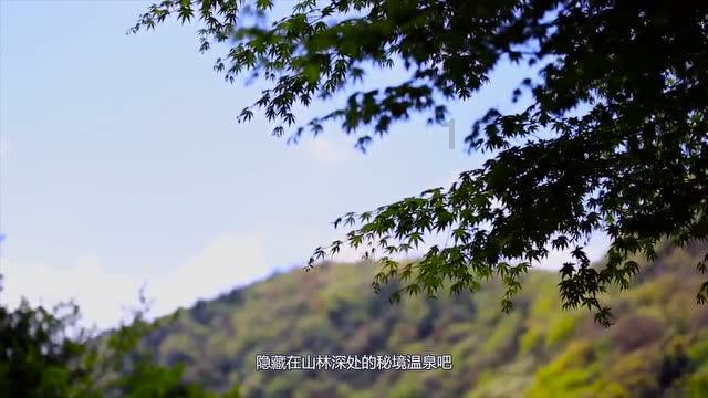 烟花爆竹燃放温度有多高？“蓝朋友”为你解析